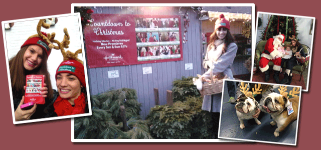 Hallmark Channel World Record Christmas Tree Maze