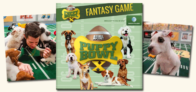 Animal Planet Puppy Bowl X Interactive Fantasy Game